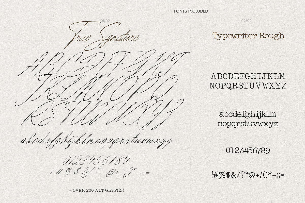 True Signature - Handwriting Script, a Script Font by AndrewPixelType (Photo 13 of 14)