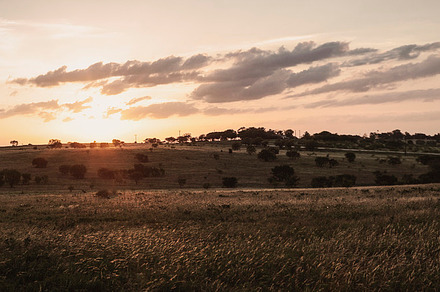 Sunset Panoramic with Field and Sky, a Nature Photo by Will Milne Photography