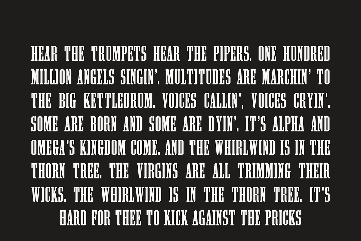 Pale Horse, a Slab Serif Font by Pale Horse (Photo 11 of 11)