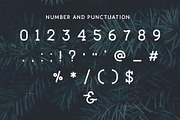 EXPLORER - Sailor Original Typeface, a Slab Serif Font by NEWFLIX.Bro (Thumbnail 7 of 13)