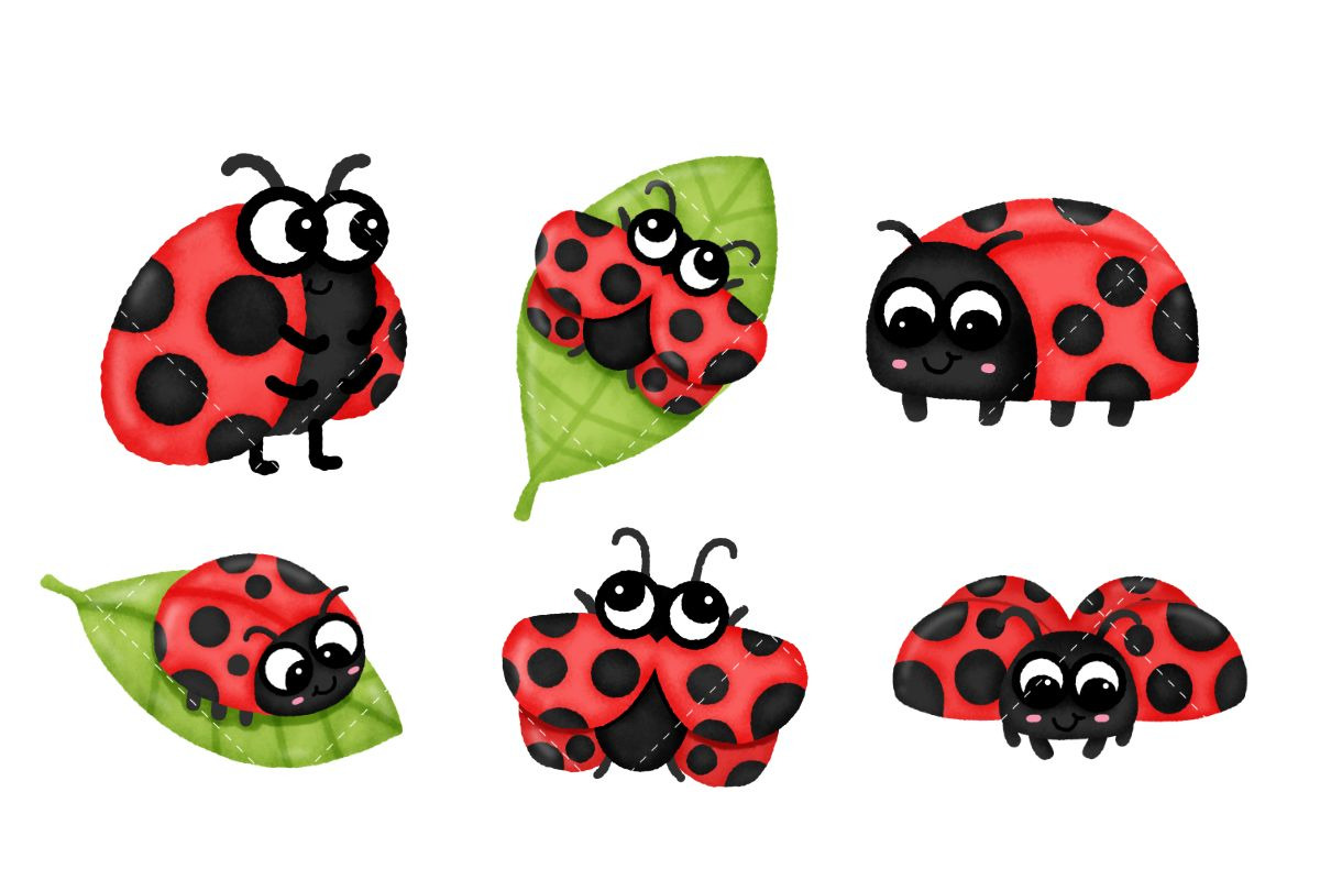 Cute Ladybug Watercolor Clipart, an Animal Illustration by Nattapohncha (Photo 2 of 3)