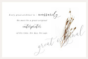Shine Yolk, a Script Font by Creamy Script (Thumbnail 8 of 8)