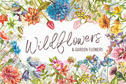 Wildflowers & Gardenflowers clipart, a Decorative Illustration by Ann Astro (Thumbnail 1 of 9)