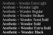 Aesthetic Wonder - Modern Aesthetic, a Serif Font by Prioritype Co (Thumbnail 6 of 20)