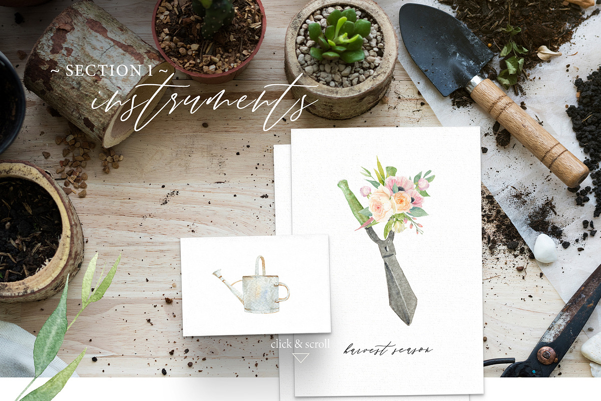 Inspired by The Garden, an Animal Illustration by NiKO (Photo 2 of 17)