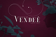 VENDEE - Serif font, a Serif Font by VP Fonts (Thumbnail 1 of 9)