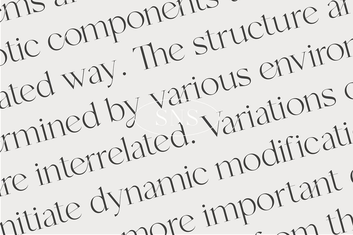 Mango - Modern Serif, a Serif Font by Sans & Sons (Photo 4 of 10)
