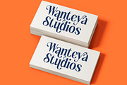 Romani - Bold Tall Serif Font, a Serif Font by timelesstype.co (Thumbnail 4 of 20)