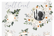 Salt Coral. Sea shell and flowers., an Object Illustration by ma_i_vi (Thumbnail 10 of 12)