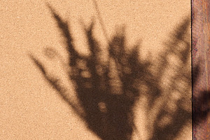 Sharp shadow from vegetation falls on a textured cork surface ne, an Abstract Photo by ndanko