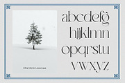 Ultra Monic | Serif Display, a Serif Font by Taboja Studio (Thumbnail 8 of 10)