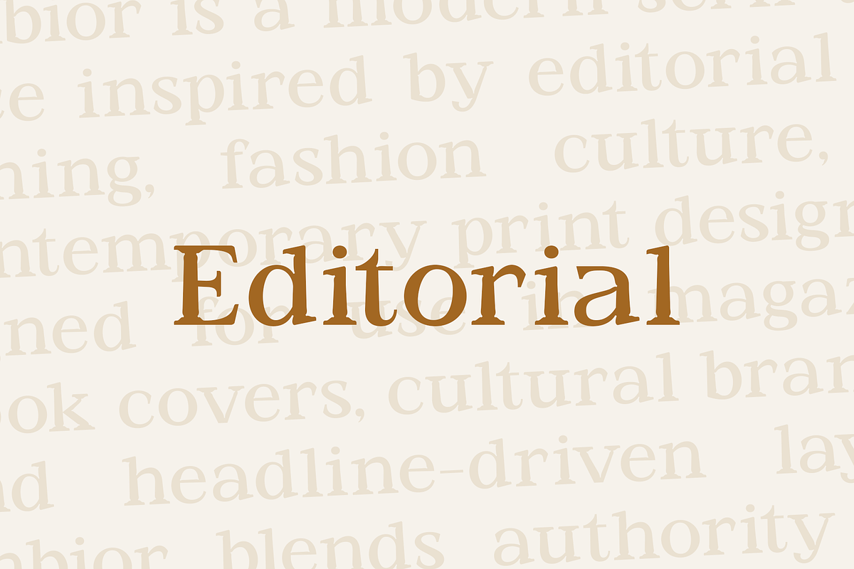 Jenbior - A Modern Editorial Serif, a Serif Font by Valentino Vergan (Photo 11 of 14)