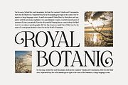 Treifany, a Serif Font by Attract Studio (Thumbnail 14 of 20)