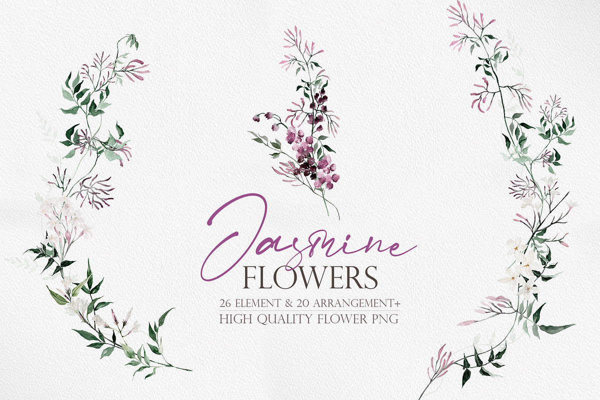 Watercolor flower - Jasmine, an Illustration by Beigetime (Photo 1 of 16)