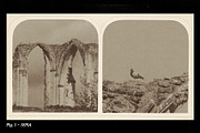Darkroom - Analog Photo Toolkit, a Preset Add-On by MiksKS (Thumbnail 9 of 27)