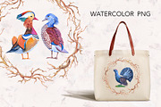 Watercolor forest birds., an Illustration by lilisavelieva (Thumbnail 3 of 5)