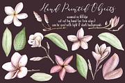 Frangipani Floral Watercolor Clipart, a Decorative Illustration by Sha1nee (Thumbnail 2 of 5)
