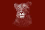 Line Art Lion Logo, a Branding & Logo Template by Designs Basket (Thumbnail 4 of 5)