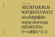 Havenite, a Serif Font by din-studio.com (Thumbnail 10 of 16)