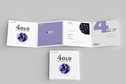 165 Brochure Mock-ups Big Bundle, a Print Template by pmvch (Thumbnail 41 of 170)