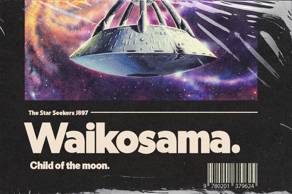 Kilimanjaro Sans (36 fonts), a Font by Nicky Laatz (Photo 59 of 75)