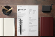 classic resume, a Resume Template by Izalsye (Thumbnail 4 of 4)