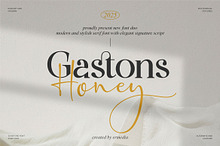 Gaston Honey - A New Font Duo