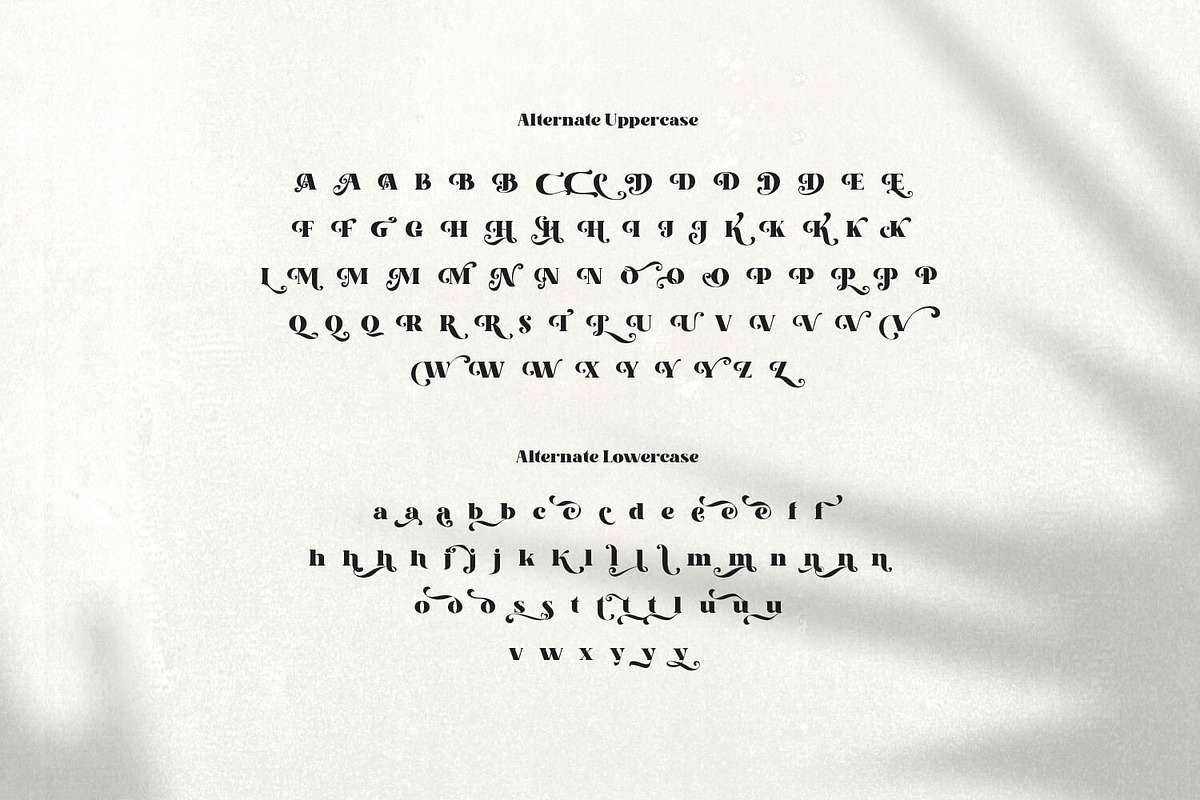 Kaoly - Beautiful Attractive Font, a Serif Font by creativemedialab (Photo 10 of 16)