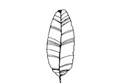 Palm Leaves svg, Botanical png, a Decorative Illustration by Watercolor_Vector Graphic (Thumbnail 21 of 25)