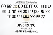 Sunday Bright, a Script Font by InermediaSTUDIO (Thumbnail 7 of 8)