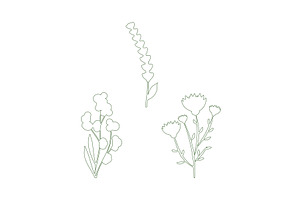 Minimalist line art flowers trio set, an Object Illustration by okskukuruza