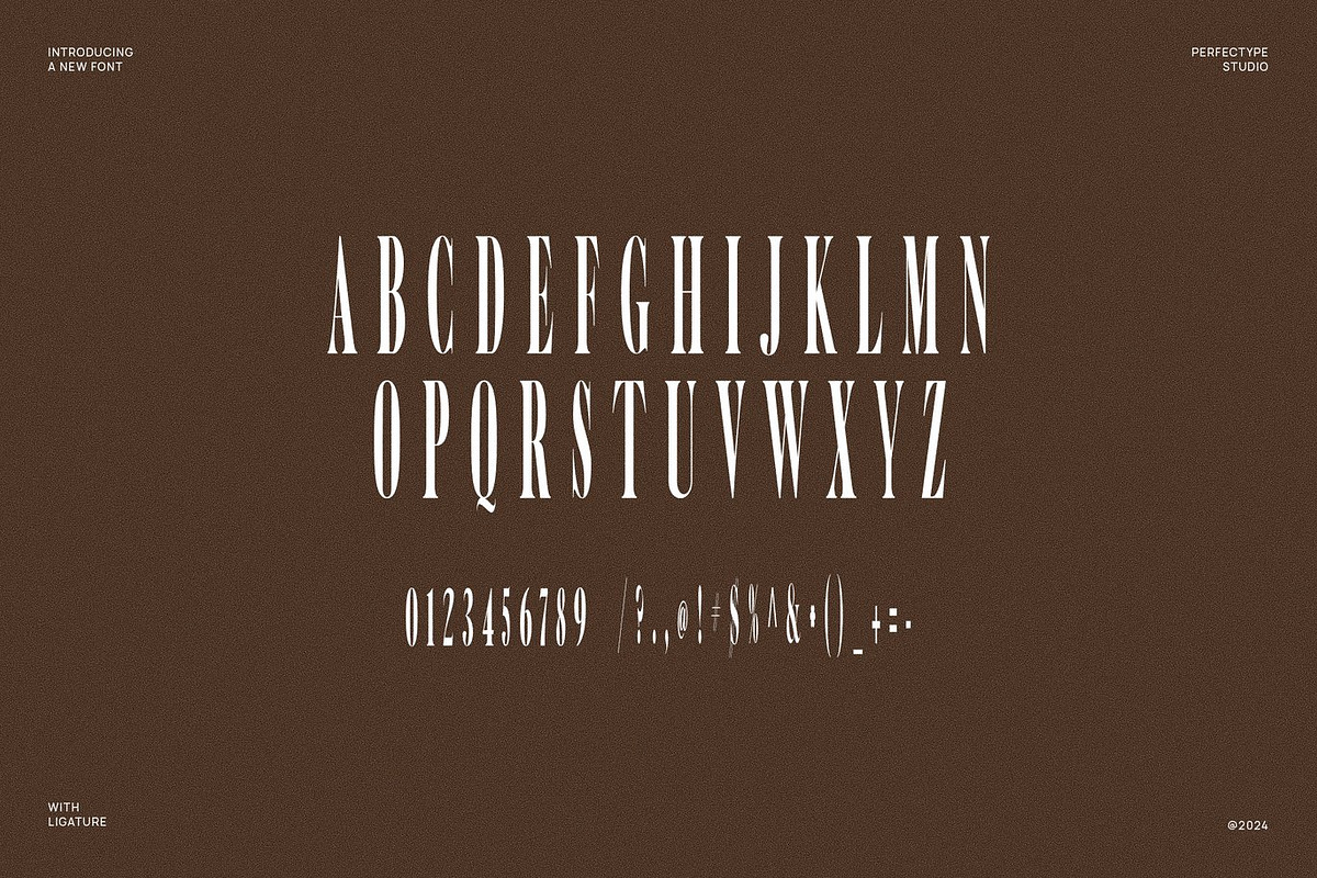Carbon - Modern Serif Font, a Serif Font by Luna Shop (Photo 5 of 6)