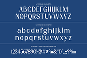 Banyelle Modern Elegant Sans Font, a Sans Serif Font by Vadovastd (Thumbnail 2 of 9)