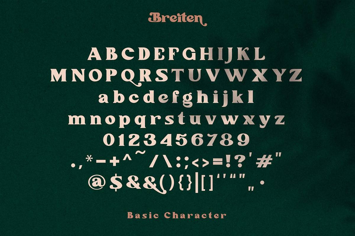 Breiten Bold Serif Font, a Font by Compaq_Creative (Photo 7 of 9)