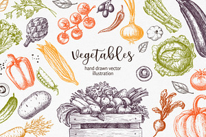 Vegetables. Hand Drawn Collection.