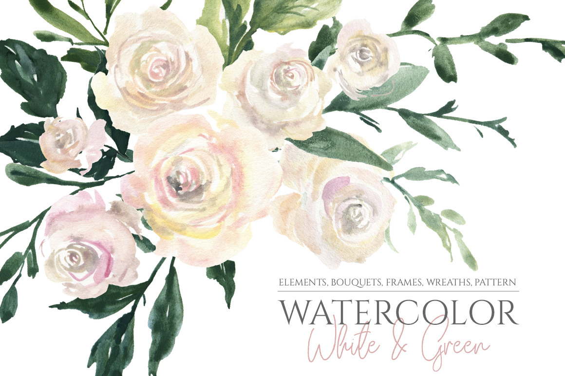 Watercolor White Roses Flowers, an Illustration by GraphicsDish