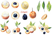 Watercolor tropical fruits., an Illustration by TaPilipa (Thumbnail 21 of 39)