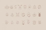 'MAGIC MOON' 22 LOGO TEMPLATES, a Branding & Logo Template by Luna Dreams (Thumbnail 15 of 15)