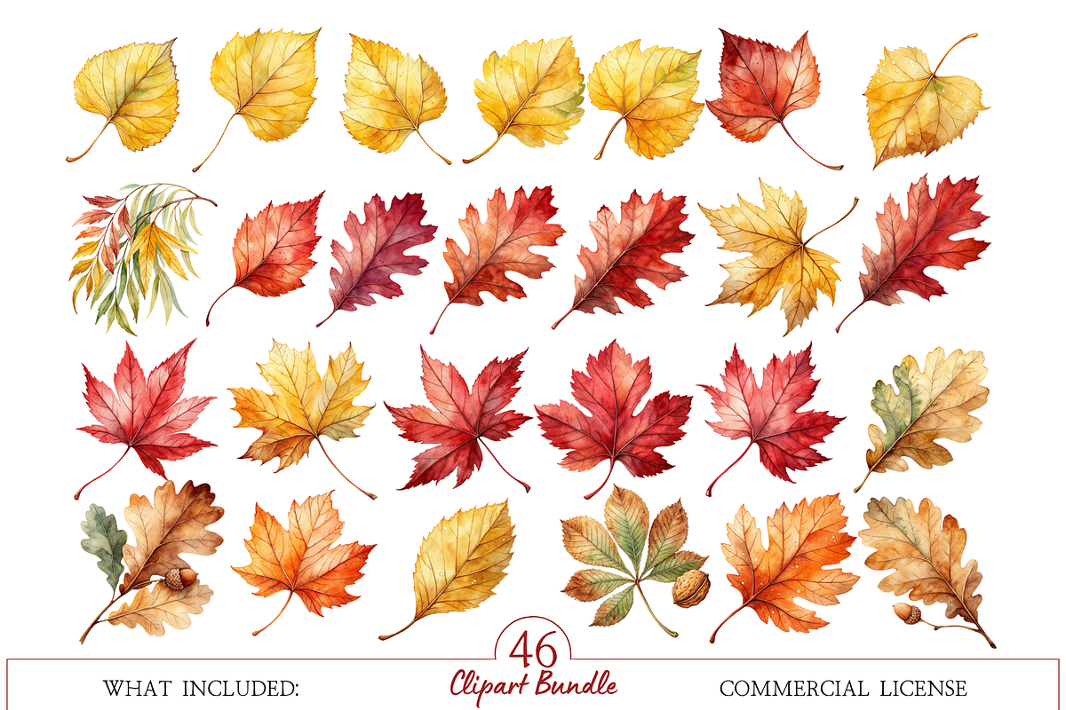 Autumn Leaves Clipart, a Decorative Illustration by MockupWizard (Photo 2 of 5)