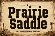 Prairie Saddle, a Slab Serif Font by Wow Magic (Thumbnail 1 of 5)
