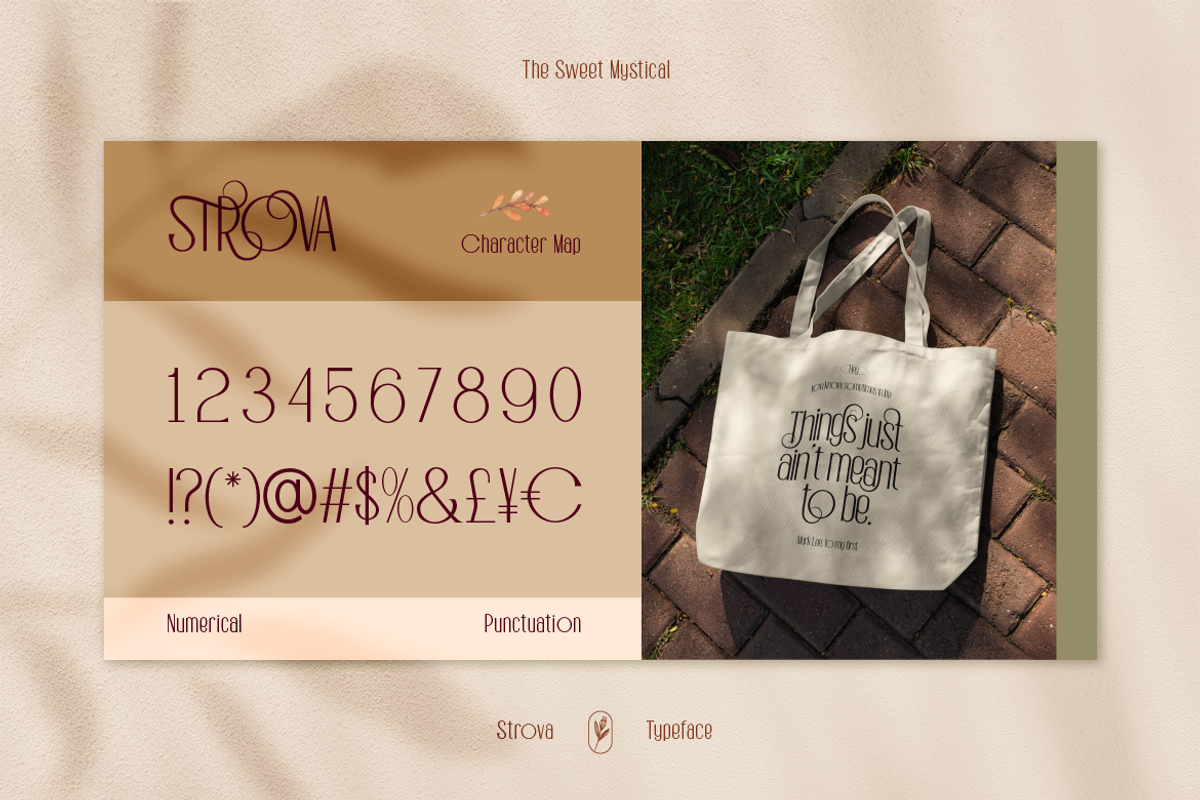 Strova, a Sans Serif Font by Burntilldead (Photo 11 of 12)