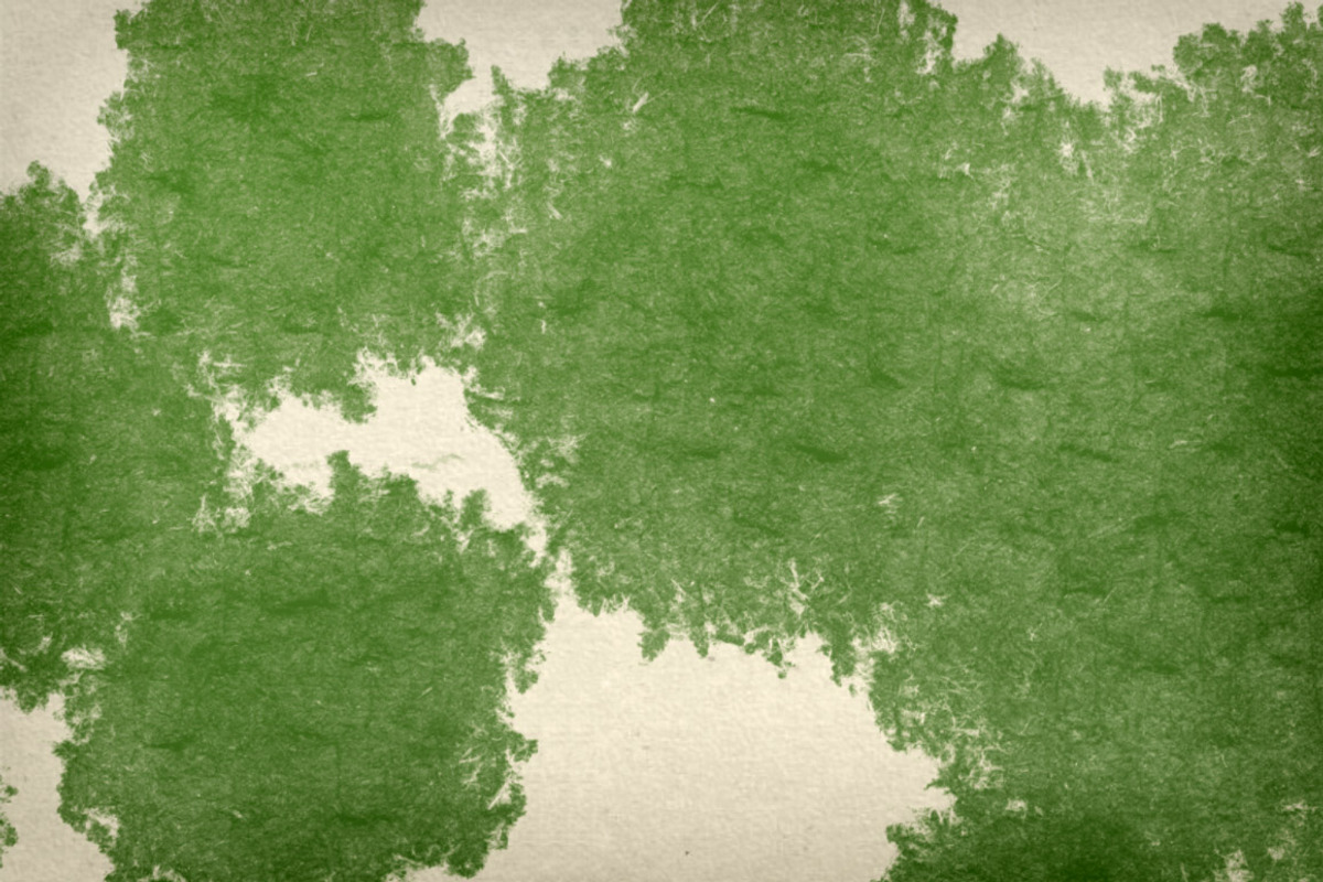 Watercolor Strokes Brush Pack 4 preview 5