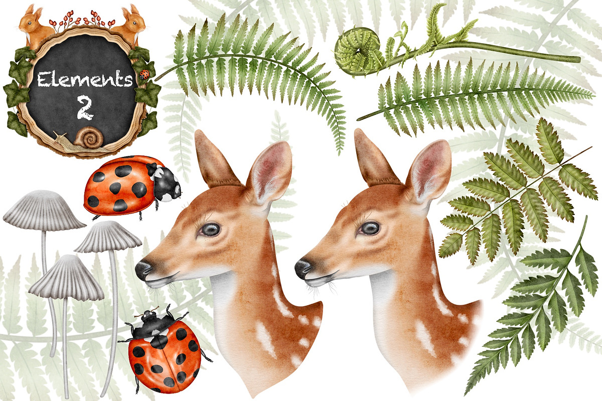 Forest Wonders Watercolor clipart, an Illustration by Happy Sloth Graphics (Photo 4 of 16)