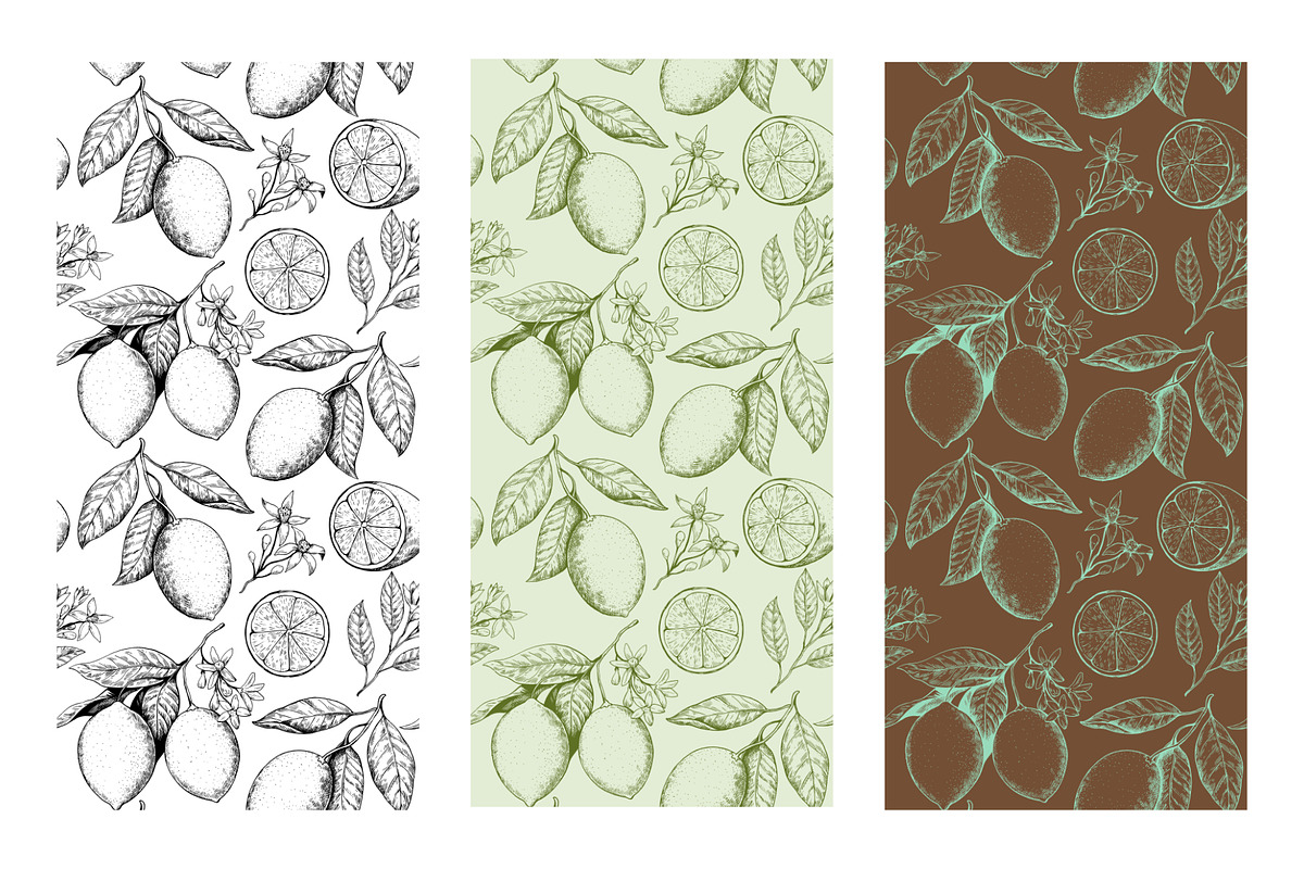 Lemon branches pattern and elements, a Food Illustration by Robusta (Photo 4 of 5)