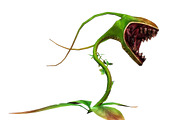 3DFoin - Elongata, a Characters & Person 3D Model by 3DRT.com (Thumbnail 17 of 17)