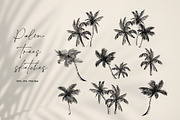 Tropical palm sketch, a Decorative Illustration by Jeanna Draw (Thumbnail 6 of 7)