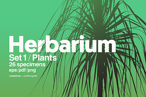 Herbarium: Set 1