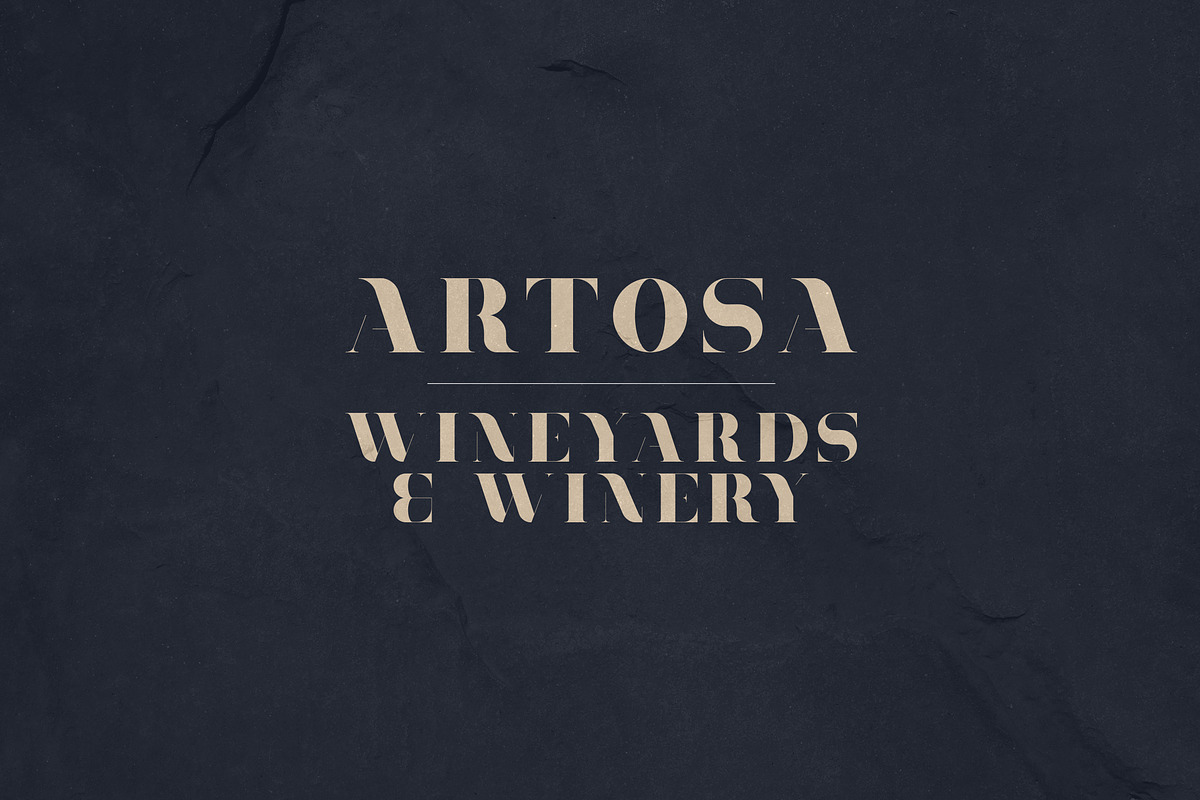 Tamira - Luxe Serif Typeface preview 7