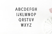 Adney Slab Serif Font Family, a Slab Serif Font by Creativetacos (Thumbnail 2 of 5)