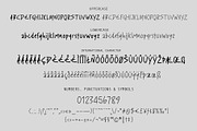 Sharp Edges a Handwritten Font, a Handwritten Font by Tera Asset Garage (Thumbnail 8 of 9)